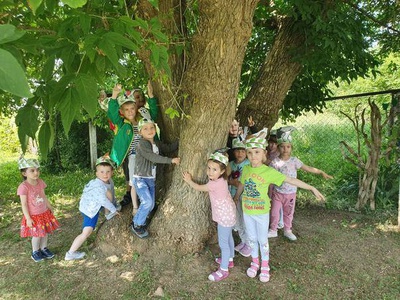 День эколога